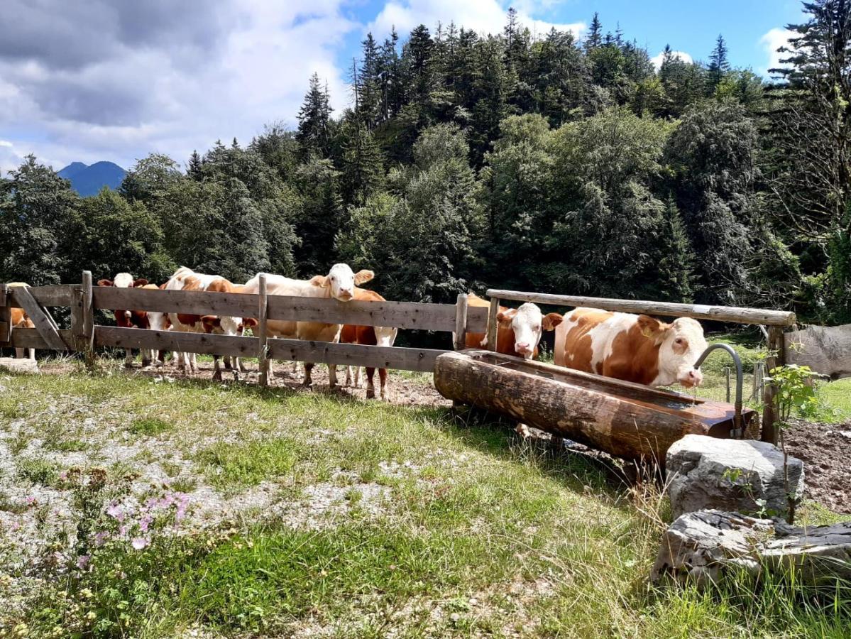 Фермерский дом Huberhof, Mettenham Шлехинг